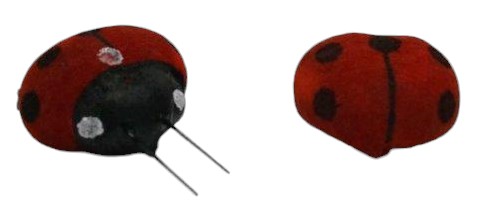 Lady Bugs S/36 3/4" 485251