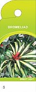 Bromeliad Care Tag  PK/100 3724.BROM