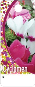 Cyclamen Care Tag 3724.CY