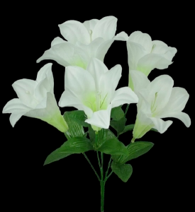 Easter Lily x 6 15", 3.5" Blooms
686903.W