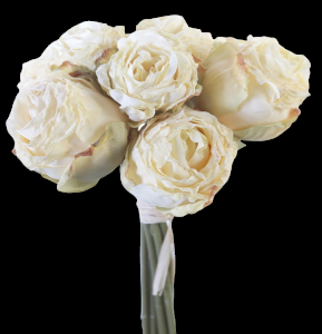 Ivory Dried Rose Bundle x 8 9"
81181.IV