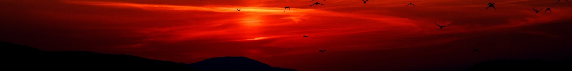 MOUNTAIN-SUNSET-WITH-BIRDS-