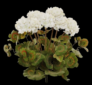 White Geranium x 7 18" 68498.W